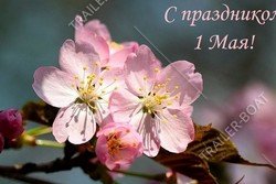 С Днем Труда всех! 1 и 2 Мая магазины "Внедорог" не работают.  